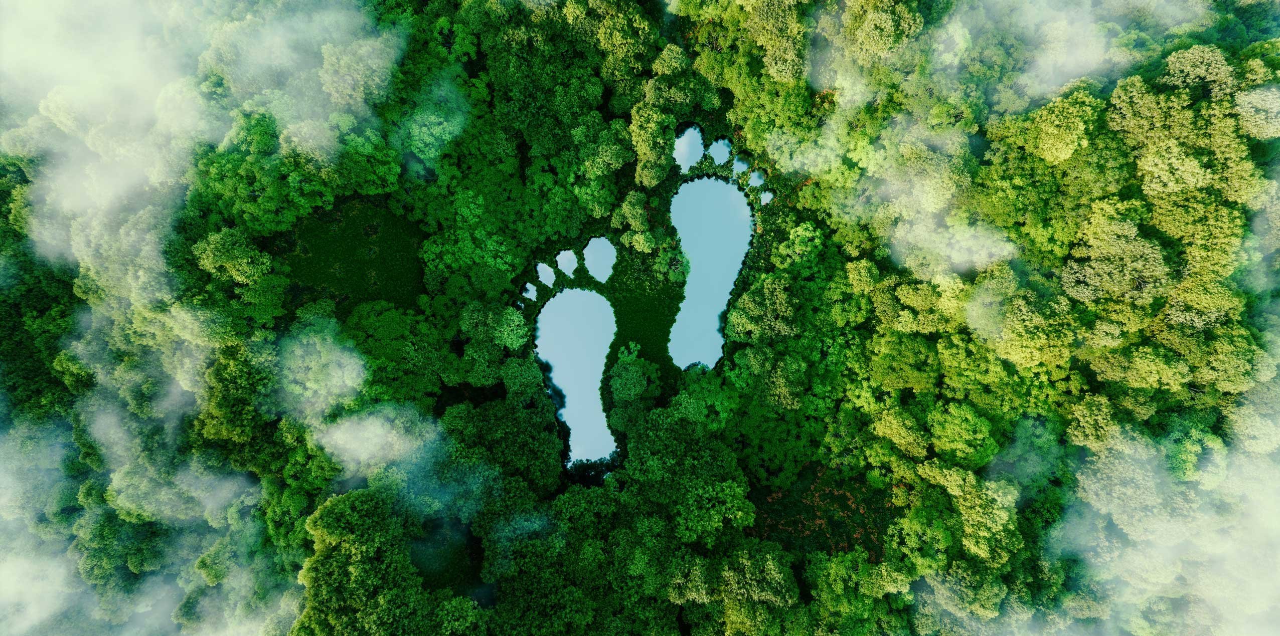Vogelperspektive eines Stücks Regenwald mit als Wasserflächen hinein stilisierten Fußabdrücken