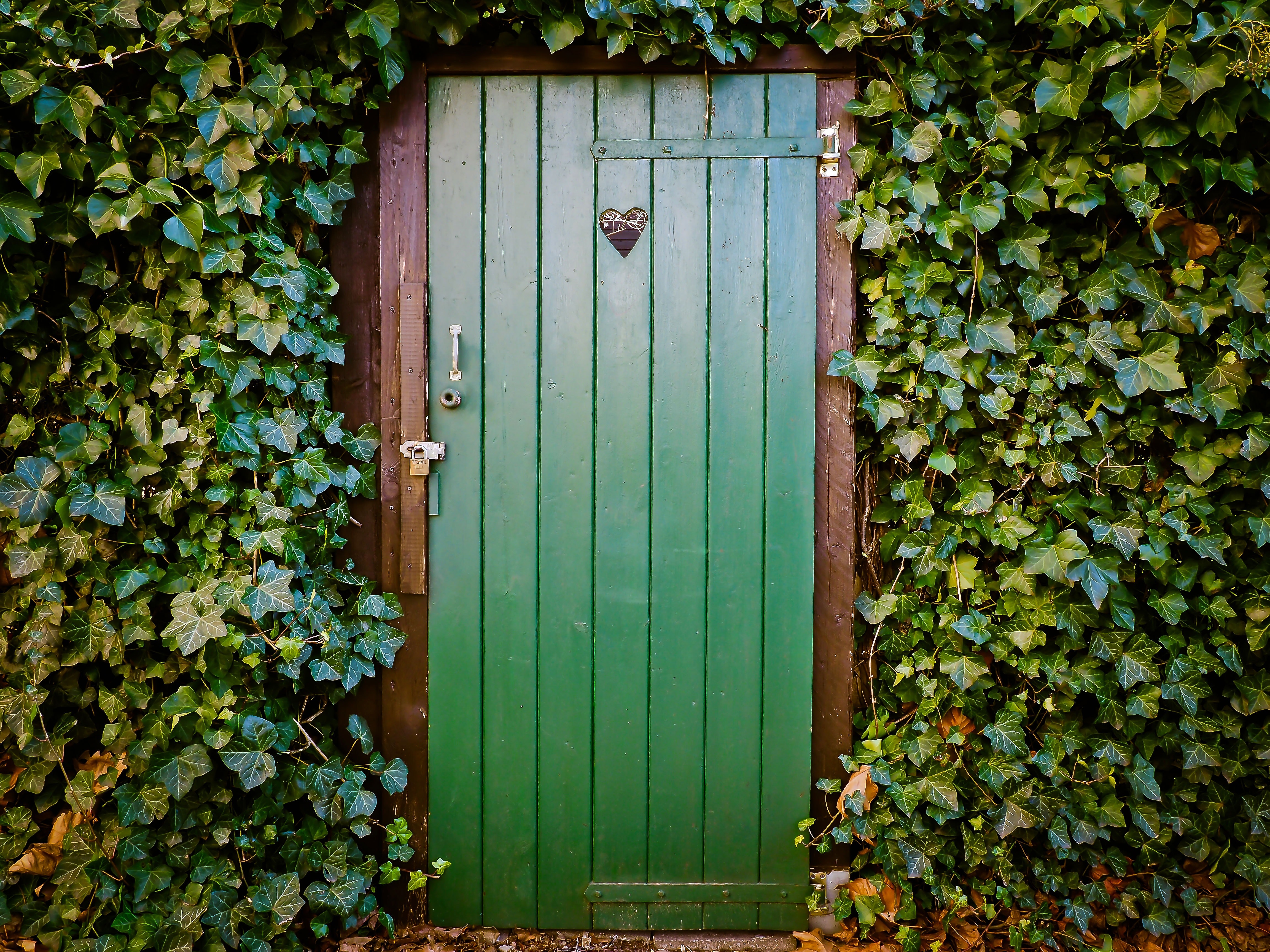 Grüne Holztüre mit einem herzförmigen Loch
