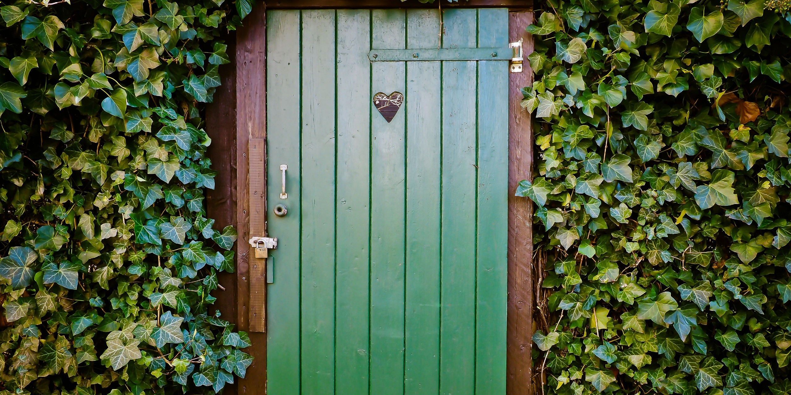 Außenseite einer grünen, runderherum efeubewachsenen Außentoilette mit herzförmigem Guckloch.